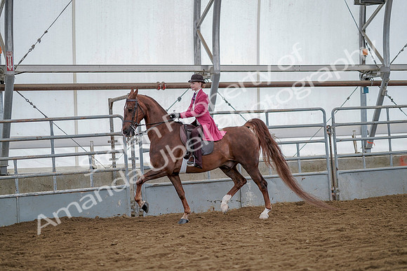 July 20, 2019 - 14491