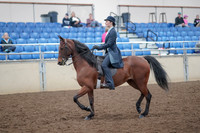 2019 Morgan Horse Show - Aug 31, 2019 - 18014