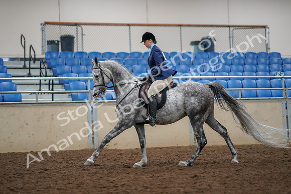 2019 Morgan Horse Show - Aug 30, 2019 - 22347