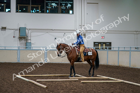 2020 - AB Morgan Horse - Fri, Sept 04 - 00266