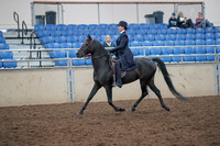 2019 Morgan Horse Show - Aug 31, 2019 - 18011