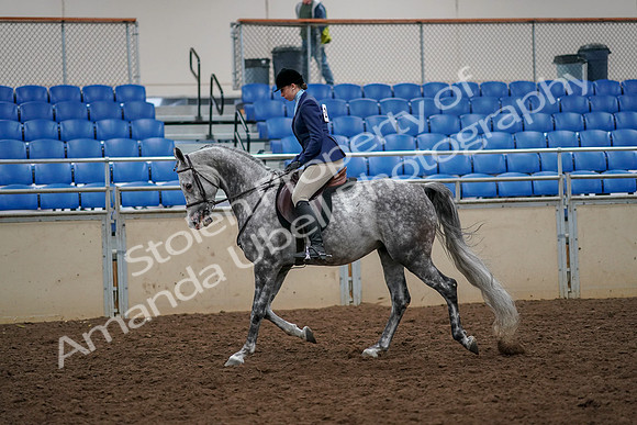 2019 Morgan Horse Show - Aug 30, 2019 - 22196