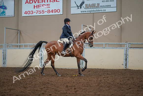 2019 Morgan Horse Show - Aug 30, 2019 - 22493