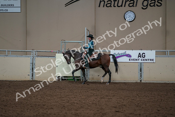 2019 Morgan Horse Show - Aug 30, 2019 - 26031