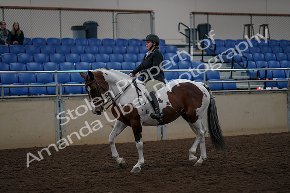 2019 Morgan Horse Show - Aug 30, 2019 - 31120