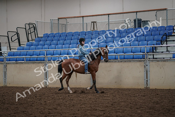 2019 Morgan Horse Show - Aug 30, 2019 - 31330