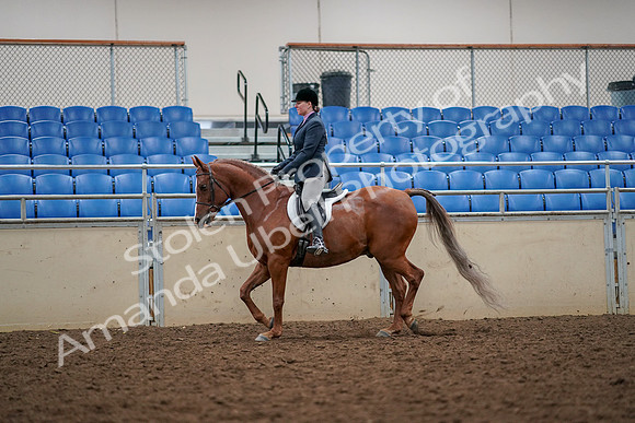 2019 Morgan Horse Show - Aug 30, 2019 - 22307