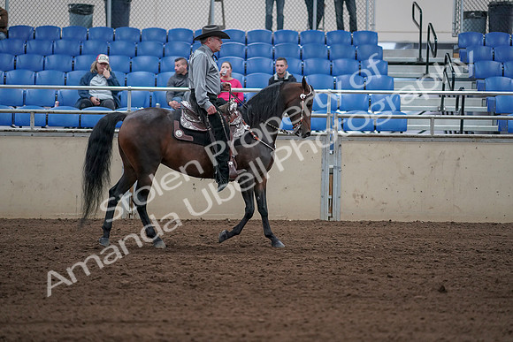 2019 Morgan Horse Show - Sept 01, 2019 - 07089