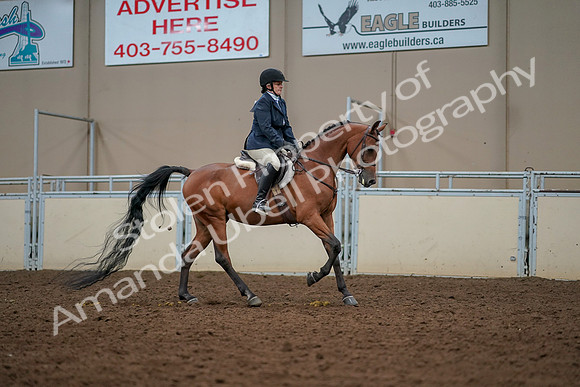 2019 Morgan Horse Show - Aug 30, 2019 - 22492