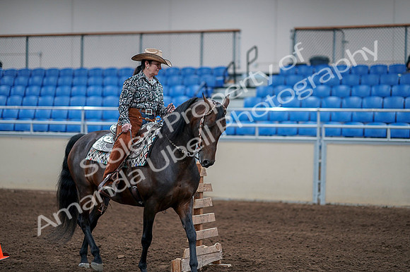 2020 - AB Morgan Horse - Fri, Sept 04 - 00387