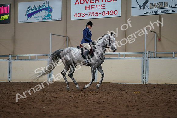 2019 Morgan Horse Show - Aug 30, 2019 - 22518