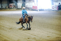 Rein - Fence/Box - Novice Rein Box