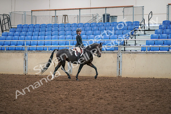 2019 Morgan Horse Show - Aug 30, 2019 - 12439
