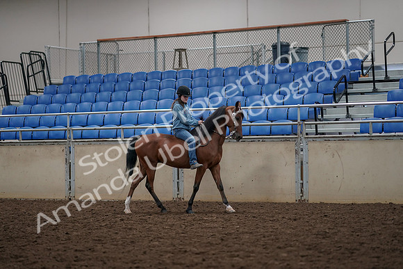 2019 Morgan Horse Show - Aug 30, 2019 - 31336