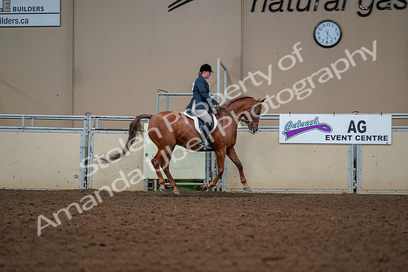 2019 Morgan Horse Show - Aug 30, 2019 - 22561