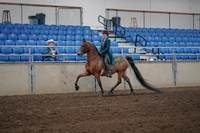 2019 Morgan Horse Show - Sept 01, 2019 - 13163