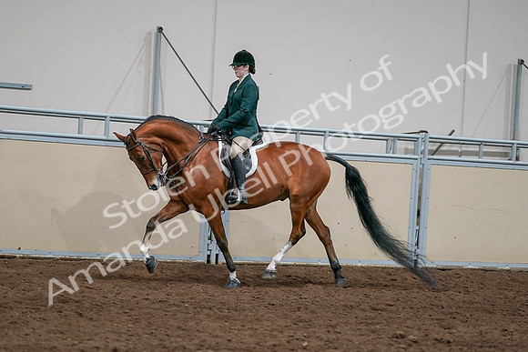 2020 - AB Morgan Horse - Sat, Sept 05 - 05018