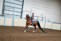 2020 - AB Morgan Horse - Sat, Sept 05 - 12075