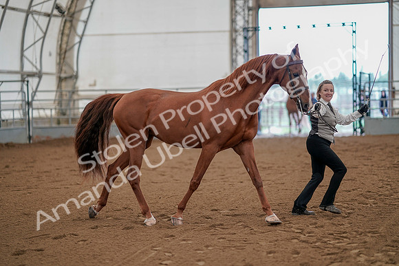 July 19, 2019 - 882
