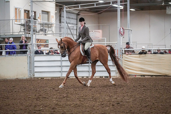 Spring Fling - Saturday - April 20, 2019  -  04554