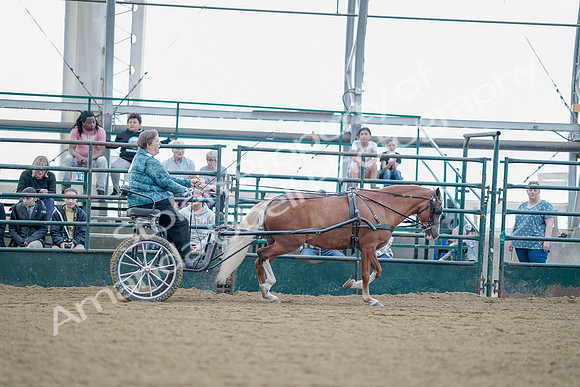 July 21, 2019 - 09102