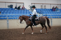 2019 Morgan Horse Show - Aug 31, 2019 - 14110