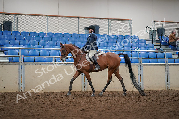 2019 Morgan Horse Show - Aug 30, 2019 - 22252