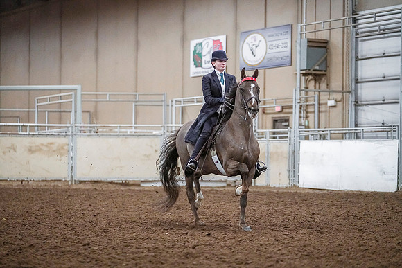 Spring Fling - Saturday - April 20, 2019  -  04207