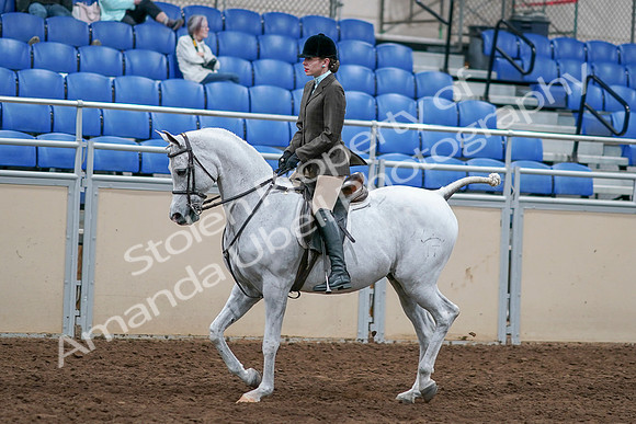 2020 - AB Morgan Horse - Sat, Sept 05 - 14247
