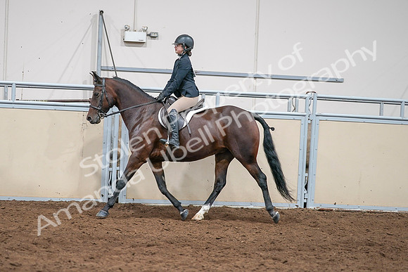 2020 - AB Morgan Horse - Sat, Sept 05 - 04978