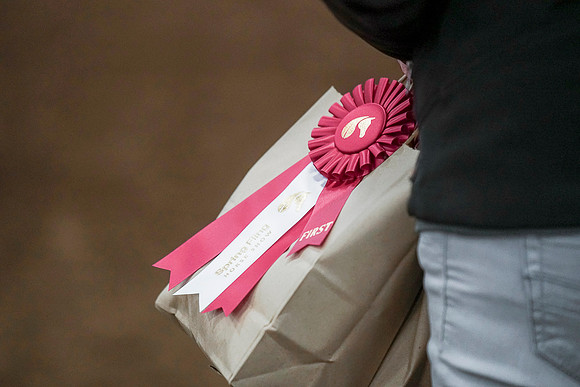 Spring Fling - Saturday - April 20, 2019  -  00141