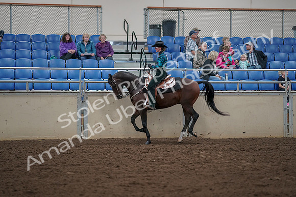 2019 Morgan Horse Show - Aug 30, 2019 - 26061