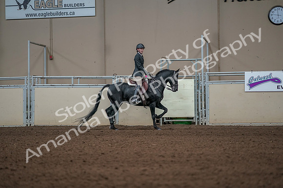 2019 Morgan Horse Show - Aug 31, 2019 - 05180