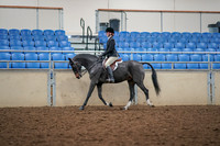 2019 Morgan Horse Show - Aug 30, 2019 - 23106