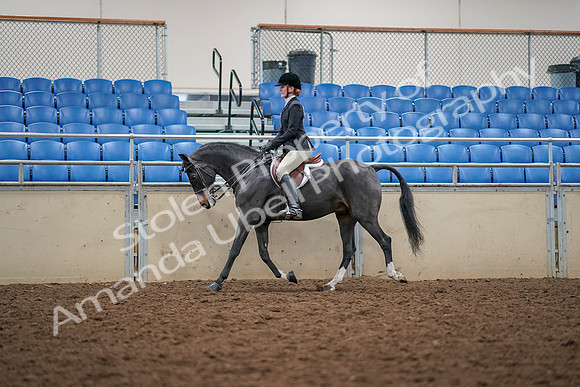 2019 Morgan Horse Show - Aug 30, 2019 - 23106