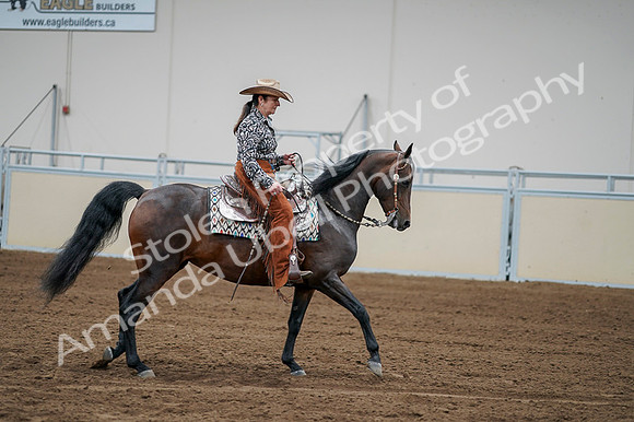 2020 - AB Morgan Horse - Fri, Sept 04 - 00329