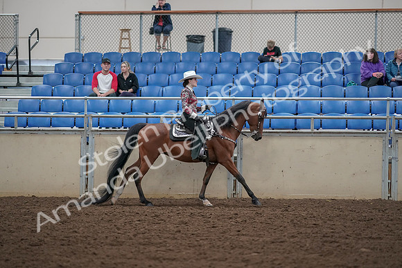 2019 Morgan Horse Show - Aug 30, 2019 - 26201