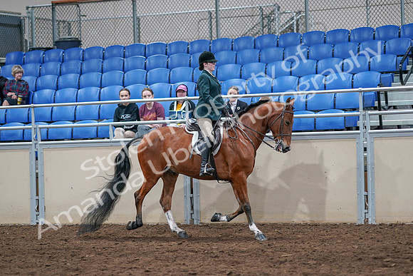2020 - AB Morgan Horse - Sat, Sept 05 - 05181