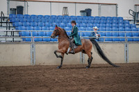 2019 Morgan Horse Show - Sept 01, 2019 - 13167