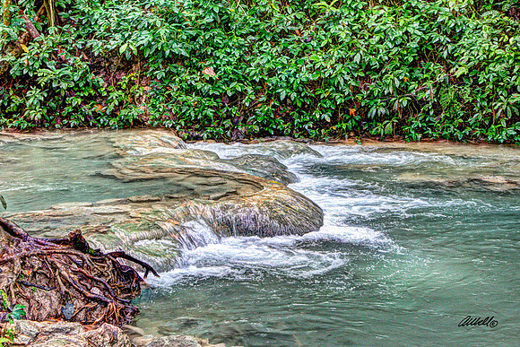 Jamaica - 029