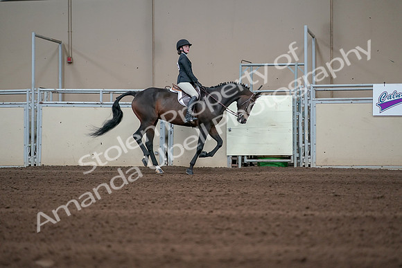 2019 Morgan Horse Show - Sept 01, 2019 - 03914