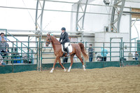Class 111 - Dressage Suitability, Under Saddle
