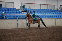 2019 Morgan Horse Show - Sept 01, 2019 - 13154