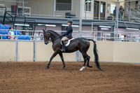 2020 - AB Morgan Horse - Fri, Sept 04 - 01987