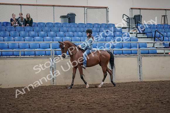 2019 Morgan Horse Show - Aug 30, 2019 - 31096