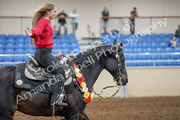 2020 - AB Morgan Horse - Sat, Sept 05 - 10573