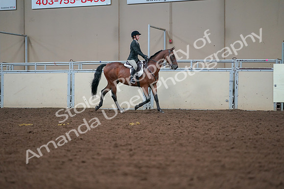 2019 Morgan Horse Show - Aug 30, 2019 - 20844