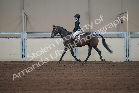 2019 Morgan Horse Show - Sept 01, 2019 - 03991
