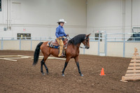 2020 - AB Morgan Horse - Fri, Sept 04 - 00018