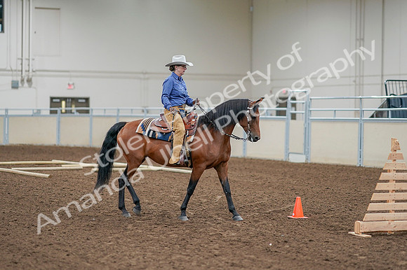 2020 - AB Morgan Horse - Fri, Sept 04 - 00018